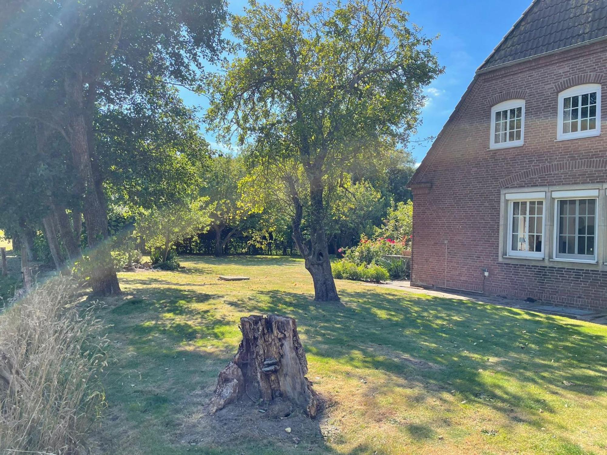 Pension Nordwind Hedwigenkoog Buitenkant foto